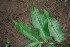  ( - BioBot00378)  @11 [ ] Copyright (2010) Unspecified Unspecified