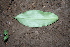  ( - BioBot00378)  @11 [ ] Copyright (2010) Unspecified Unspecified