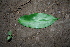  ( - BioBot00378)  @11 [ ] Copyright (2010) Unspecified Unspecified