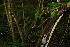  ( - BioBot00387)  @11 [ ] Copyright (2010) Unspecified Unspecified