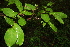  ( - BioBot00387)  @11 [ ] Copyright (2010) Unspecified Unspecified
