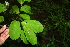  ( - BioBot00387)  @11 [ ] Copyright (2010) Unspecified Unspecified