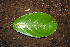  ( - BioBot00387)  @11 [ ] Copyright (2010) Unspecified Unspecified