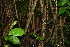  ( - BioBot00388)  @11 [ ] Copyright (2010) Unspecified Unspecified