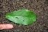  ( - BioBot00388)  @11 [ ] Copyright (2010) Unspecified Unspecified