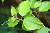  ( - BioBot00390)  @11 [ ] Copyright (2010) Unspecified Unspecified