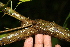  ( - BioBot00392)  @11 [ ] Copyright (2010) Unspecified Unspecified