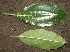  ( - BioBot00398)  @11 [ ] Copyright (2010) Unspecified Unspecified