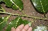  ( - BioBot00398)  @11 [ ] Copyright (2010) Unspecified Unspecified