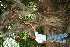  ( - BioBot00399)  @11 [ ] Copyright (2010) Unspecified Unspecified