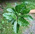  ( - BioBot00400)  @11 [ ] Copyright (2010) Unspecified Unspecified