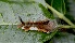  ( - BioBot00400)  @11 [ ] Copyright (2010) Unspecified Unspecified