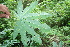  ( - BioBot00404)  @11 [ ] Copyright (2010) Unspecified Unspecified