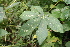  ( - BioBot00405)  @11 [ ] Copyright (2010) Unspecified Unspecified
