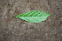  ( - BioBot00421)  @11 [ ] Copyright (2010) Unspecified Unspecified