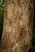  ( - BioBot00428)  @11 [ ] Copyright (2010) Unspecified Unspecified