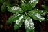  ( - BioBot00428)  @11 [ ] Copyright (2010) Unspecified Unspecified