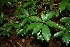  ( - BioBot00428)  @11 [ ] Copyright (2010) Unspecified Unspecified
