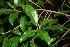  ( - BioBot00428)  @11 [ ] Copyright (2010) Unspecified Unspecified