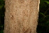  ( - BioBot00429)  @11 [ ] Copyright (2010) Unspecified Unspecified