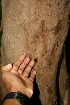  ( - BioBot00429)  @11 [ ] Copyright (2010) Unspecified Unspecified
