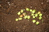  ( - BioBot00429)  @11 [ ] Copyright (2010) Unspecified Unspecified