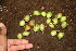  ( - BioBot00429)  @11 [ ] Copyright (2010) Unspecified Unspecified