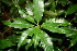  ( - BioBot00429)  @11 [ ] Copyright (2010) Unspecified Unspecified
