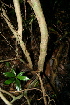  ( - BioBot00436)  @11 [ ] Copyright (2010) Unspecified Unspecified