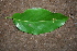  ( - BioBot00436)  @11 [ ] CreativeCommons - Attribution Non-Commercial Share-Alike (2010) Daniel H. Janzen Guanacaste Dry Forest Conservation Fund