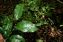  ( - BioBot00437)  @11 [ ] Copyright (2010) Unspecified Unspecified