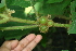  ( - BioBot00446)  @11 [ ] Copyright (2010) Unspecified Unspecified