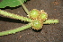  ( - BioBot00446)  @11 [ ] Copyright (2010) Unspecified Unspecified