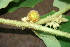  ( - BioBot00446)  @11 [ ] Copyright (2010) Unspecified Unspecified