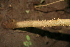  ( - BioBot00446)  @11 [ ] Copyright (2010) Unspecified Unspecified