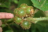  ( - BioBot00446)  @11 [ ] Copyright (2010) Unspecified Unspecified