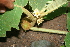  ( - BioBot00447)  @11 [ ] Copyright (2010) Unspecified Unspecified