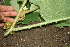  ( - BioBot00447)  @11 [ ] Copyright (2010) Unspecified Unspecified