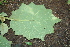  ( - BioBot00447)  @11 [ ] Copyright (2010) Unspecified Unspecified