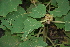  ( - BioBot00447)  @11 [ ] Copyright (2010) Unspecified Unspecified