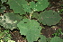  ( - BioBot00448)  @11 [ ] Copyright (2010) Unspecified Unspecified