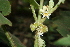  ( - BioBot00448)  @11 [ ] Copyright (2010) Unspecified Unspecified