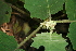  ( - BioBot00448)  @11 [ ] Copyright (2010) Unspecified Unspecified