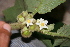  ( - BioBot00448)  @11 [ ] Copyright (2010) Unspecified Unspecified