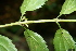  ( - BioBot00464)  @11 [ ] CreativeCommons - Attribution Non-Commercial Share-Alike (2010) Daniel H. Janzen Guanacaste Dry Forest Conservation Fund