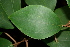  ( - BioBot00471)  @11 [ ] Copyright (2010) Unspecified Unspecified