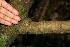  ( - BioBot00480)  @11 [ ] CreativeCommons - Attribution Non-Commercial Share-Alike (2010) Daniel H. Janzen Guanacaste Dry Forest Conservation Fund