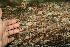  ( - BioBot00495)  @11 [ ] CreativeCommons - Attribution Non-Commercial Share-Alike (2010) Daniel H. Janzen Guanacaste Dry Forest Conservation Fund