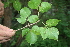  ( - BioBot00507)  @11 [ ] CreativeCommons - Attribution Non-Commercial Share-Alike (2010) Daniel H. Janzen Guanacaste Dry Forest Conservation Fund