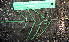  ( - BioBot00577)  @11 [ ] CreativeCommons - Attribution Non-Commercial Share-Alike (2010) Daniel H. Janzen Guanacaste Dry Forest Conservation Fund